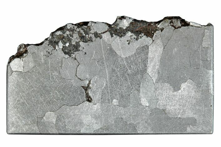 Campo del Cielo Iron Meteorite Slice ( g) - Argentina #281202